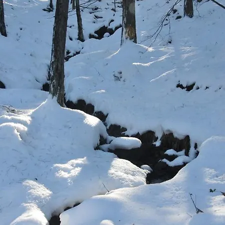 Varga